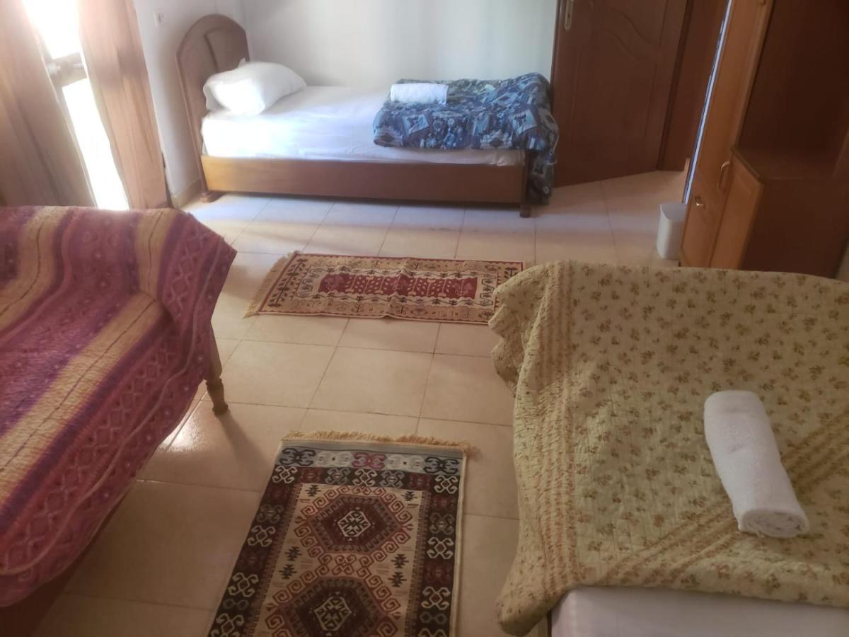 Hostel Split Rock Tirana Eksteriør billede