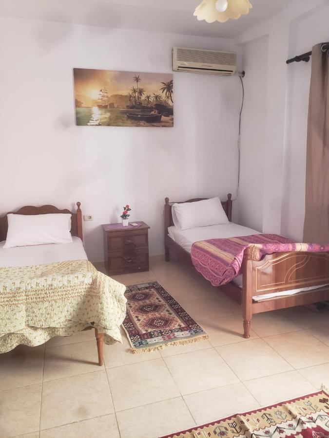 Hostel Split Rock Tirana Eksteriør billede