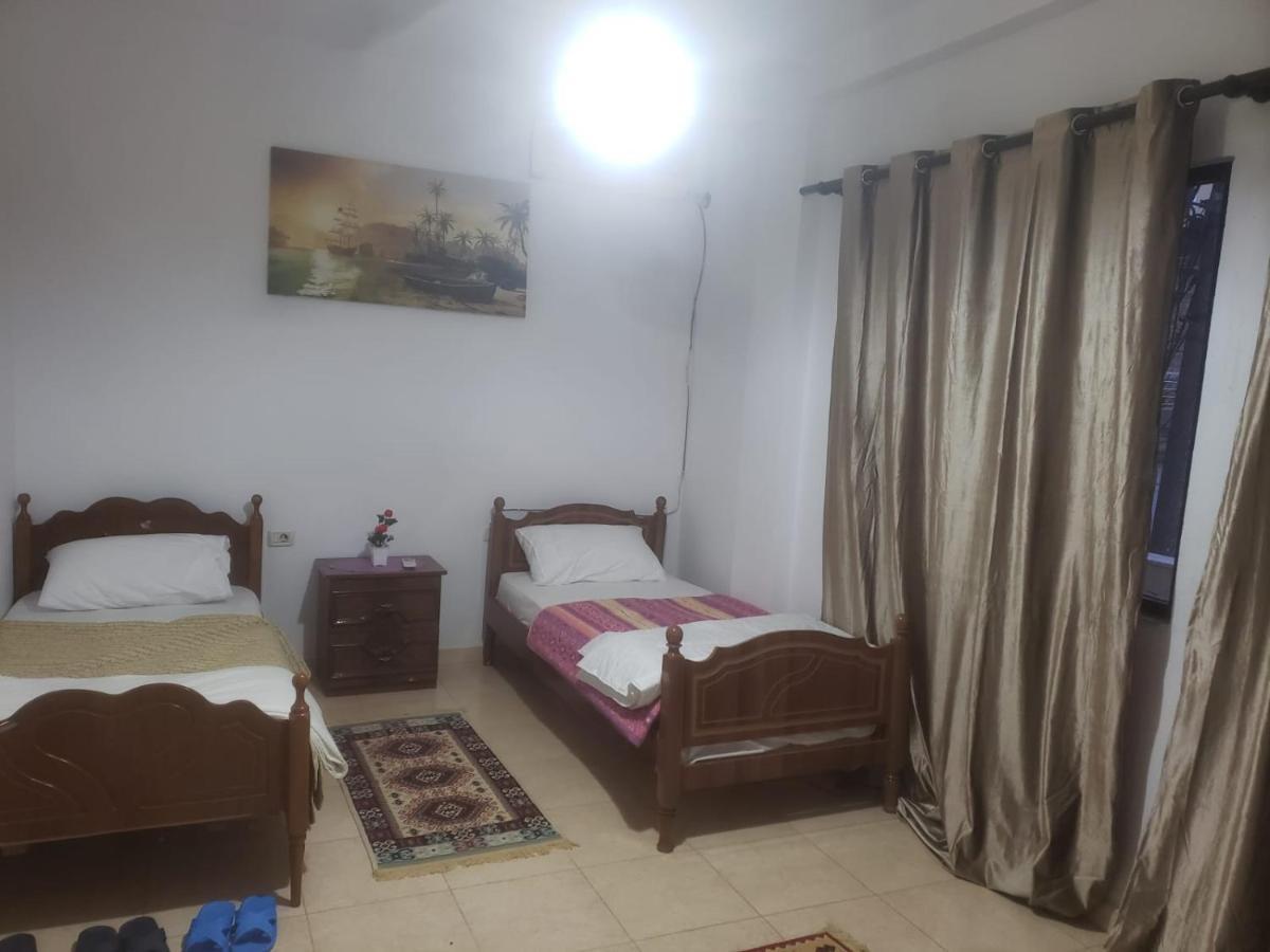 Hostel Split Rock Tirana Eksteriør billede
